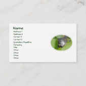 Baby Painted Turtle on Lilypad Business Card Visitenkarte (Vorderseite)