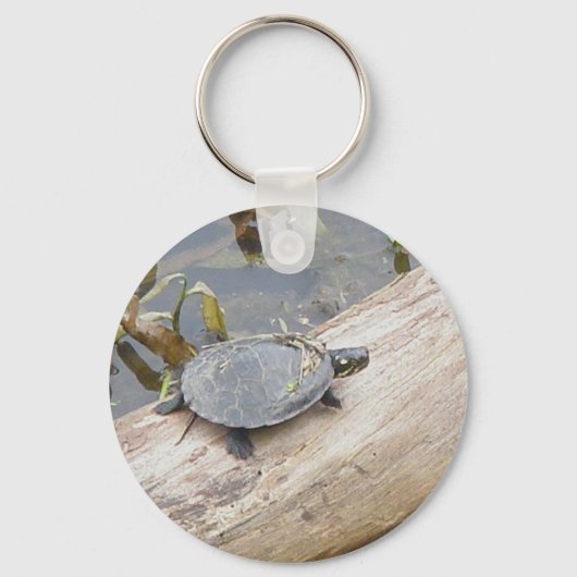 Baby Painted Turtle Schlüsselanhänger (Vorderseite)