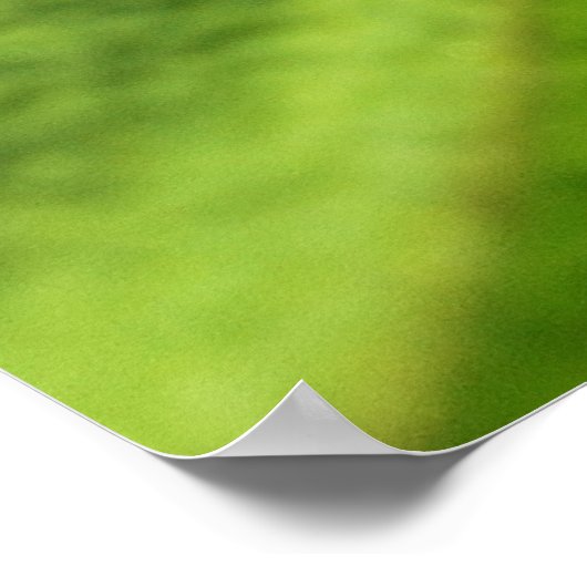 Baby Palm Pflanze von Shirley Taylor Poster (Ecke)