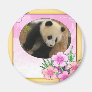baby-panda-00083-85x85 magnet