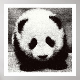 Baby Panda Artwork Posters Prints Poster