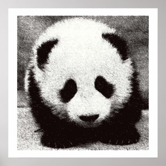 Baby Panda Artwork Posters Prints Poster (Vorne)