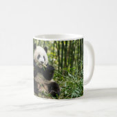 Baby-Panda-Bambus-Kaffeetasse Kaffeetasse (VorderseiteRechts)