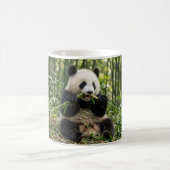 Baby-Panda-Bambus-Kaffeetasse Kaffeetasse (Mittel)