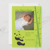 Baby Panda Bear Birth Announcement - Green Ankündigung (Vorderseite)