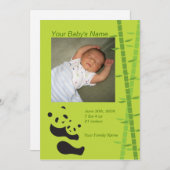 Baby Panda Bear Birth Announcement - Green Ankündigung (Vorne/Hinten)