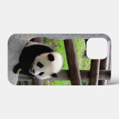 Baby Panda Case-Mate iPhone Hülle (Rückseite (Horizontal))