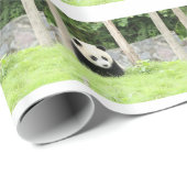 Baby-Panda Geschenkpapier (Rolleneckpunkt)