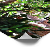 Baby Panda Humour Poster (Ecke)