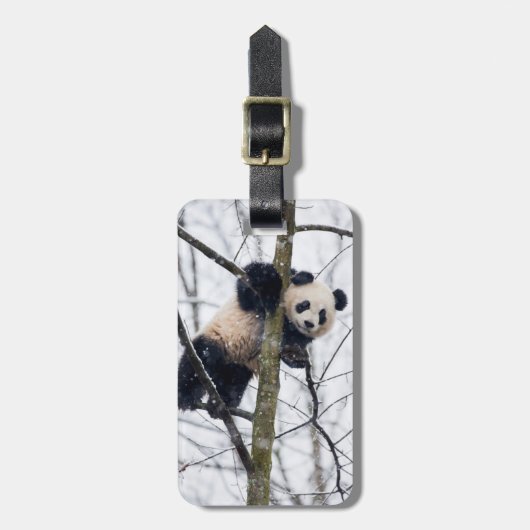 Baby-Panda im Baum Gepäckanhänger (Vorderseite vertikal)