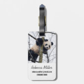 Baby-Panda im Baum Gepäckanhänger (Rückseite vertikal)