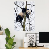 Baby-Panda im Baum Poster (Heimbüro)