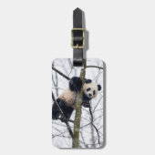 Baby Panda in Tree Gepäckanhänger (Vorderseite vertikal)
