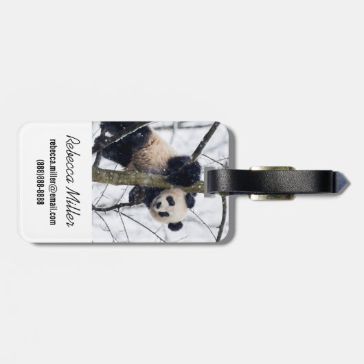 Baby Panda in Tree Gepäckanhänger (Rückseite horizontal)