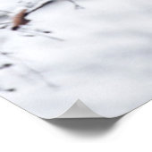 Baby Panda in Tree Poster (Ecke)