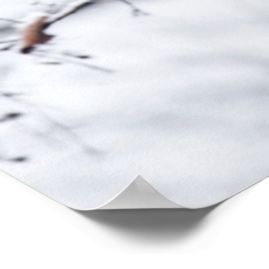 Baby Panda in Tree Poster (Ecke)