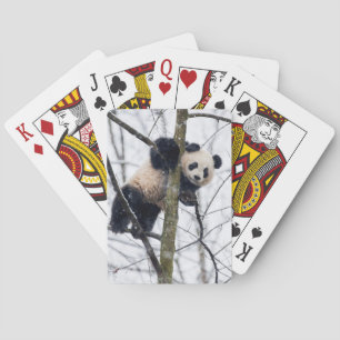 Baby Panda in Tree Spielkarten