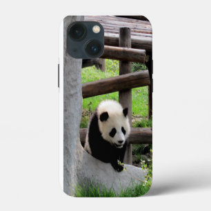 Baby Panda iPhone 13 Mini Hülle