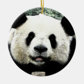 Baby Panda Keramik Ornament (Vorne)