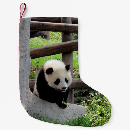 Baby Panda Kleiner Weihnachtsstrumpf (Vorderseite)