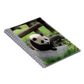 Baby Panda Notizblock (Rechte Seite)