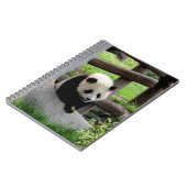 Baby Panda Notizblock (Linke Seite)