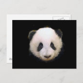 Baby Panda Postkarte (Vorne/Hinten)