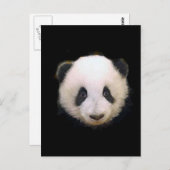 Baby Panda Postkarte (Vorne/Hinten)