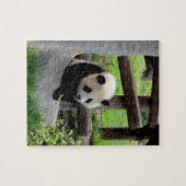 Baby Panda Puzzle (Horizontal)