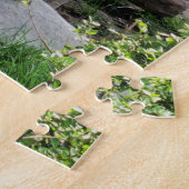 Baby Panda Puzzle (Seite)