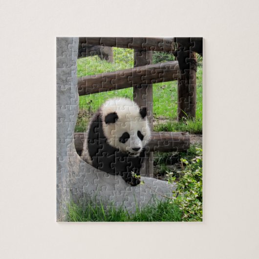 Baby Panda Puzzle (Vertikal)