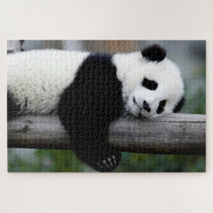 Baby Panda schlafend auf einem Baum, Jigsaw Puzzle