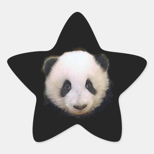 Baby Panda Star Sticker (Vorderseite)