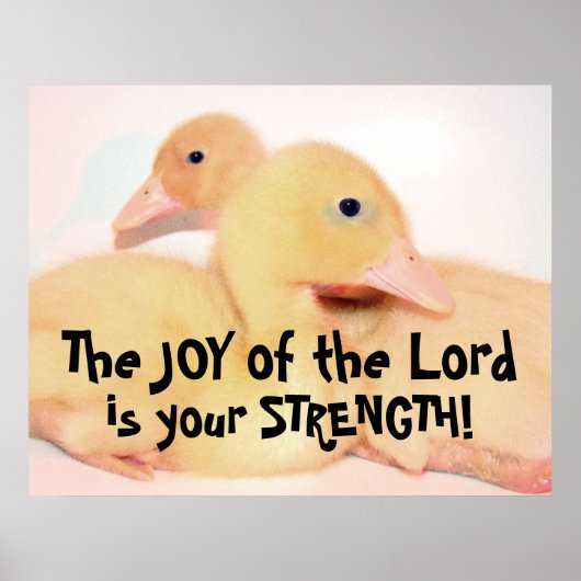 Baby Pekin Duck Duckling Bird Animal Pet Poster (Vorne)