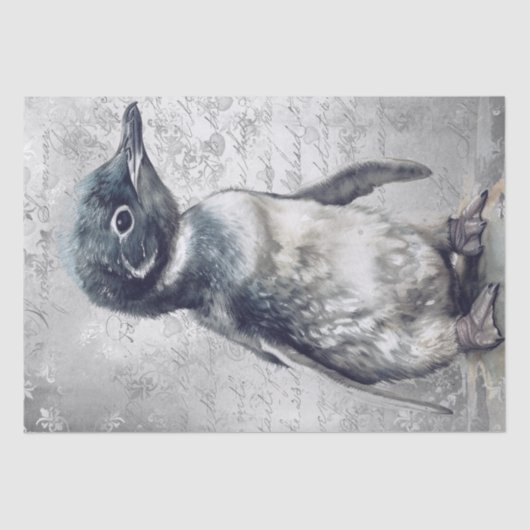Baby Penguin Seidenpapier (Vorderseite)