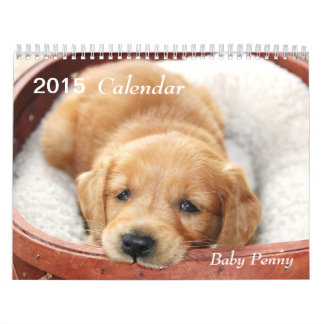 Baby-Penny-Kalender 2015 Kalender