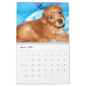 Baby-Penny-Kalender 2015 Kalender (Mär 2027)