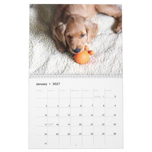 Baby-Penny-Kalender 2015 Kalender (Jan 2027)