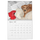Baby-Penny-Kalender 2015 Kalender (Feb 2027)