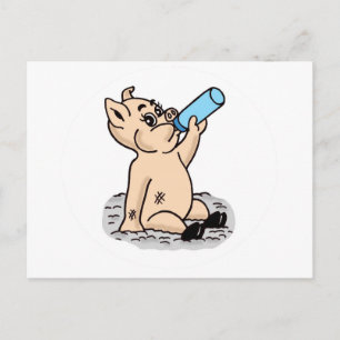 Baby Pig Cartoon Postkarte