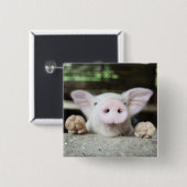 Baby Pig in Pen, Piglet Button (Vorne & Hinten)
