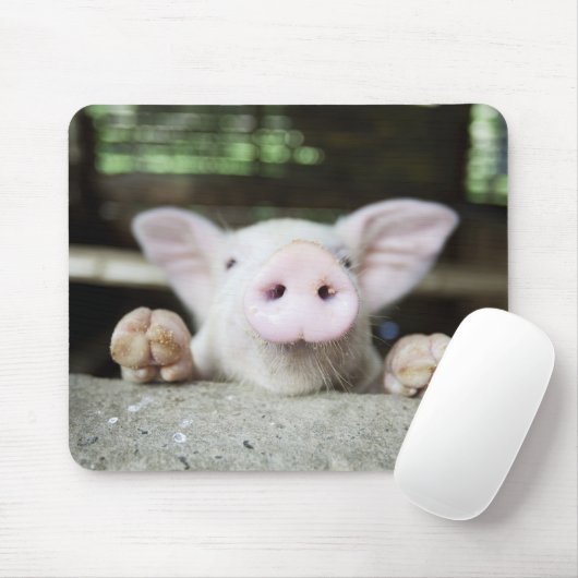 Baby Pig in Pen, Piglet Mousepad (Mit Mouse)