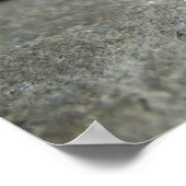 Baby Pig in Pen, Piglet Poster (Ecke)