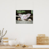 Baby Pig in Pen, Piglet Poster (Küche)