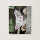 Baby Pig in Pen, Piglet Puzzle (Vertikal)