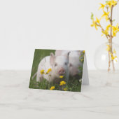 Baby Piglet in Field of Yellow Flowers Karte (Gelbe Blume)