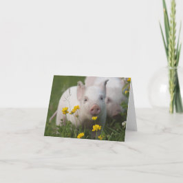 Baby Piglet in Field of Yellow Flowers Karte