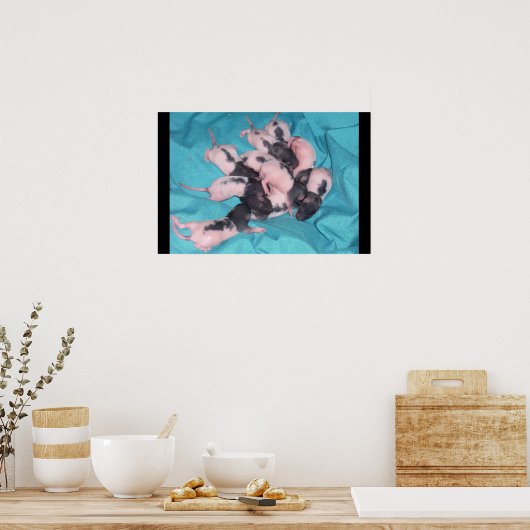 Baby Pile Poster (Küche)