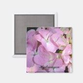 Baby Pink Hydrangeas Magnet (Vorderseite/Rückseite)