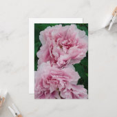 Baby Pink Peony Blume Karte (Vorderseite/Rückseite Beispiel)